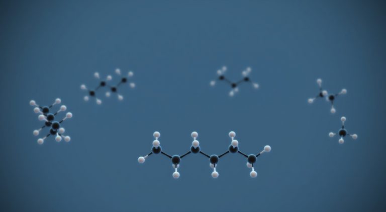 що-таке-гомологи