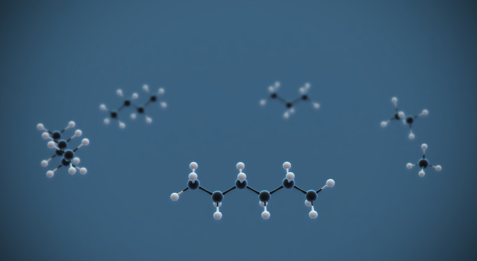 що-таке-гомологи