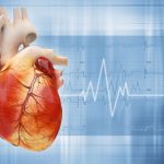 як-перевірити-серце