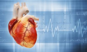 як-перевірити-серце