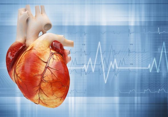 як-перевірити-серце