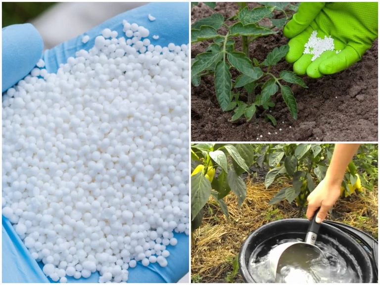 як-розводити-карбамід