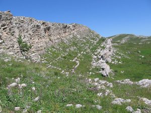 які-є-осадові-гірські-породи