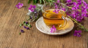 іван-чай-користь