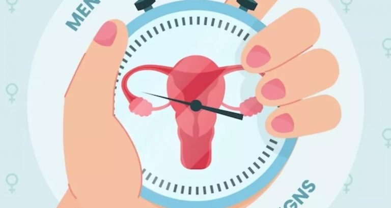 фази жіночого циклу