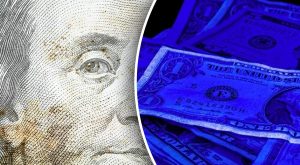 iak-vyvesty-tsvil-z-dolariv-nadiinyi-posibnyk-poriatunku-9d22