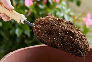 як зробити грунт для вазонів