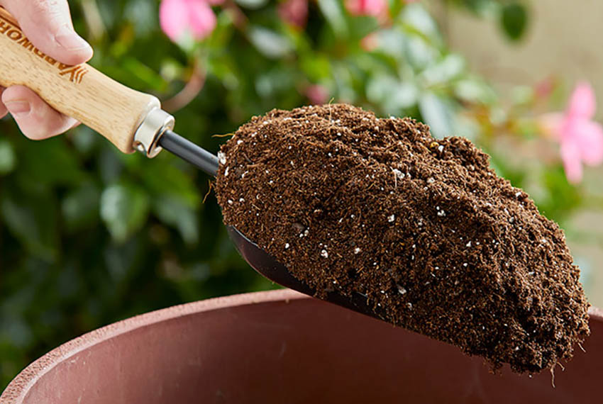 як зробити грунт для вазонів