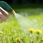 знищення бур'янів оцтом