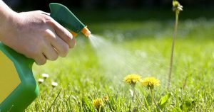 знищення бур'янів оцтом