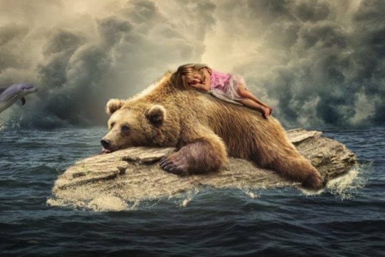 що означає коли сниться ведмідь