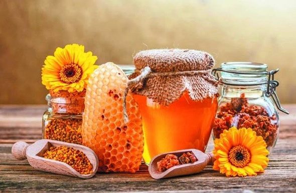 коли медовий спас