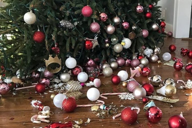 впала ялинка прикмета