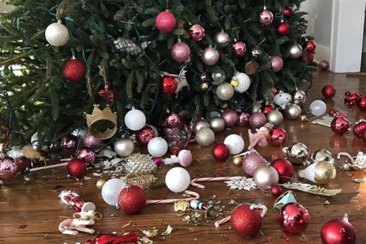 впала ялинка прикмета