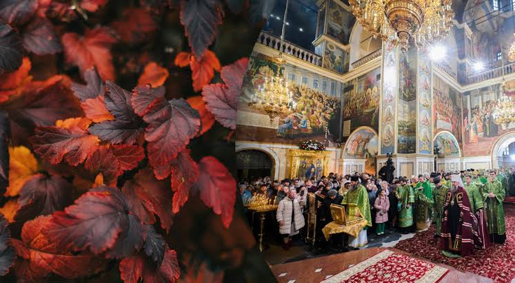 яке свято 12 листопада