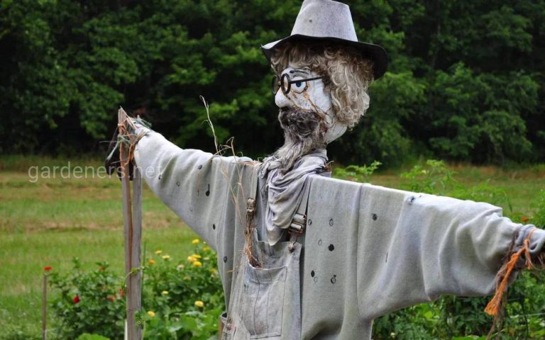 опудало на городі