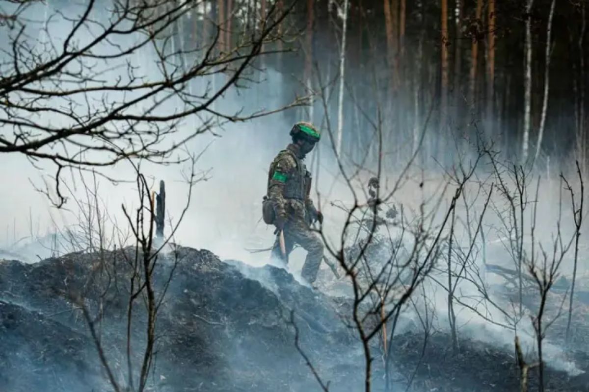 Спроби розширити сіру зону і бронетехніка на осінь - у Силах оборони розкрили тактику росіян біля Добропілля