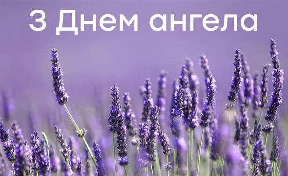 1-14.jpg