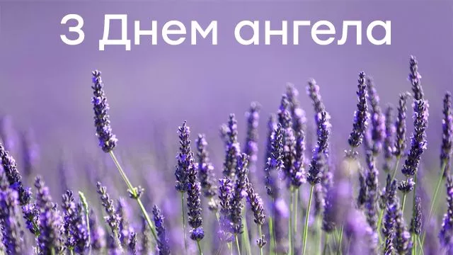 1-14.jpg