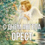 den-angela-oresta.jpg