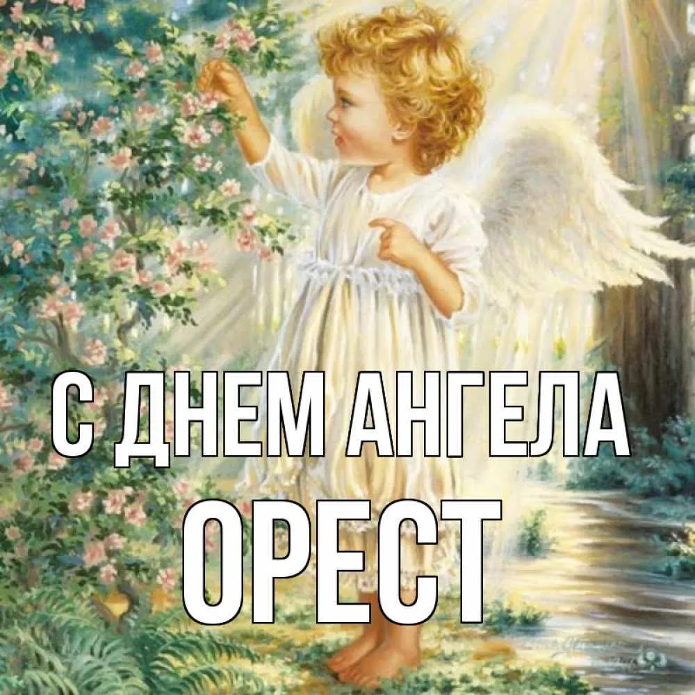 den-angela-oresta.jpg